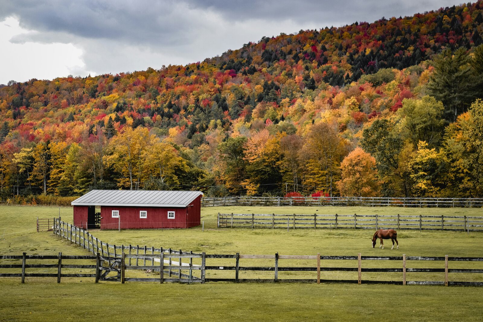 Horse standing in an open pasture behind a wooden fence